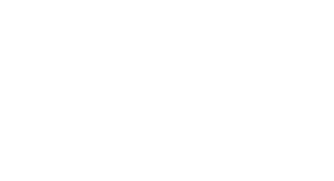 Battred Women's Justice Project